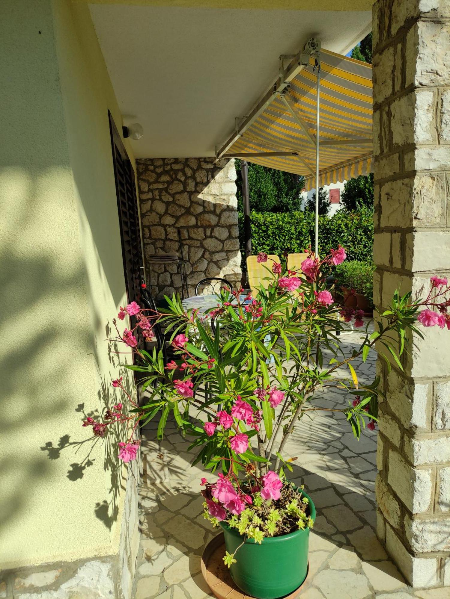 Studio Apartment Dramalj Kültér fotó